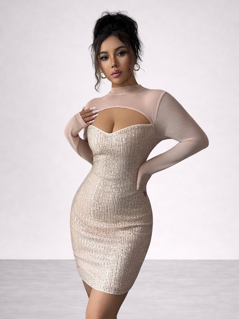 Women's Sequin Bodycon Mini Dress 