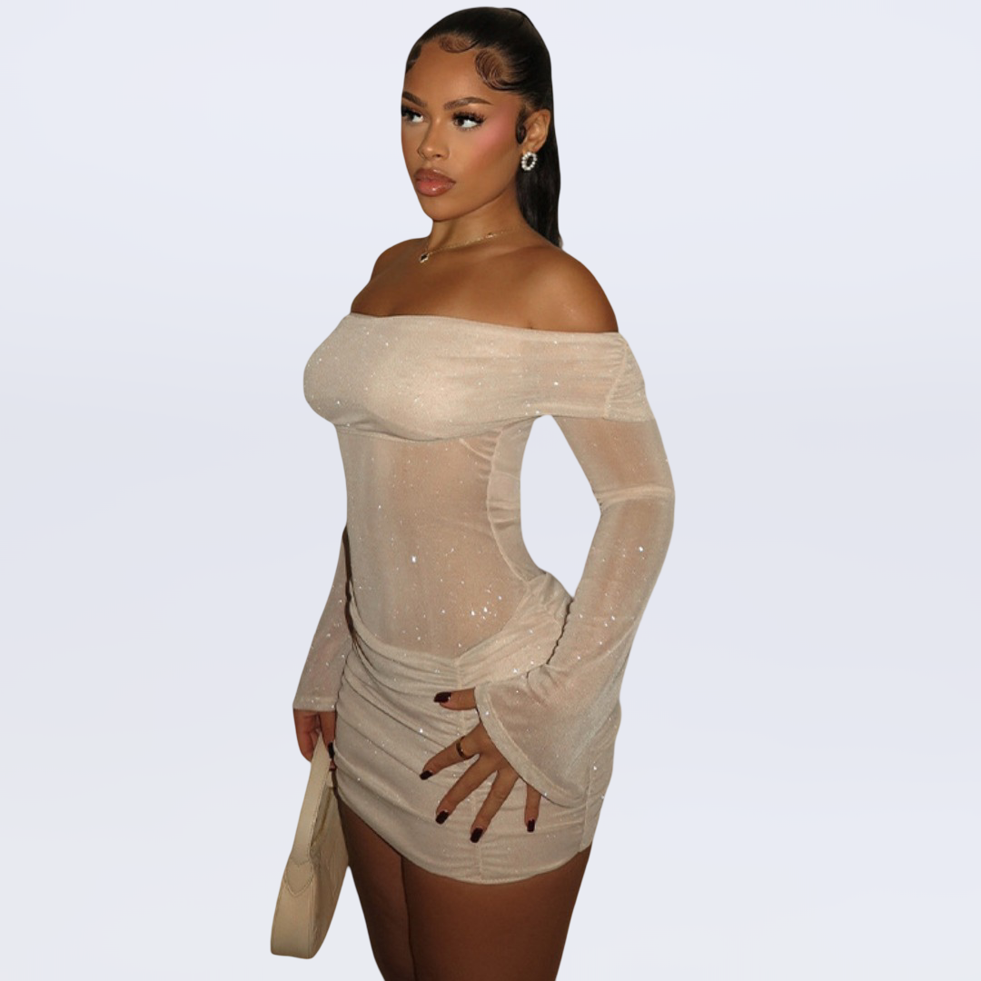 The Aura Mesh Dress